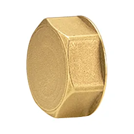 Пробка лат 24/19 вн/р д/коллект Giacomini R594Y002